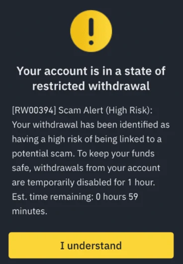 幣安提領受限的官方示範畫面,標題為 Your account is in a state of restricted withdrawal,代碼 RW00394,提領暫停 1 小時、剩餘 0 小時 59 分