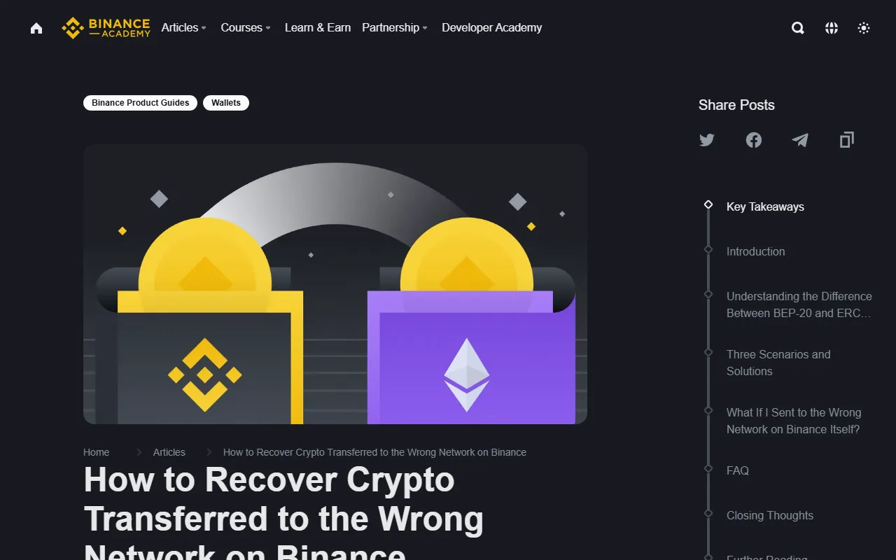 Binance Academy 錯誤網路轉帳恢復指南,主圖呈現 Binance 與 Ethereum 網路之間的轉移風險
