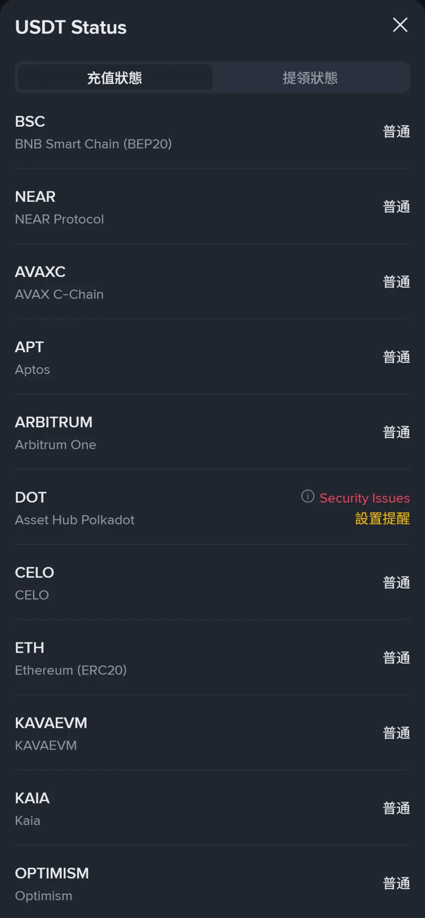 幣安繁體中文充值和提領狀態頁展開 USDT 後的逐網路清單,Asset Hub Polkadot 一列顯示紅色 Security Issues,其餘網路顯示普通